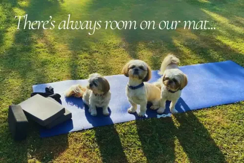 Theres always room on our mat...